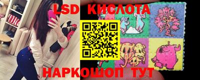гашик Ирбит