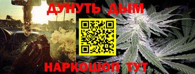 гашик Ирбит