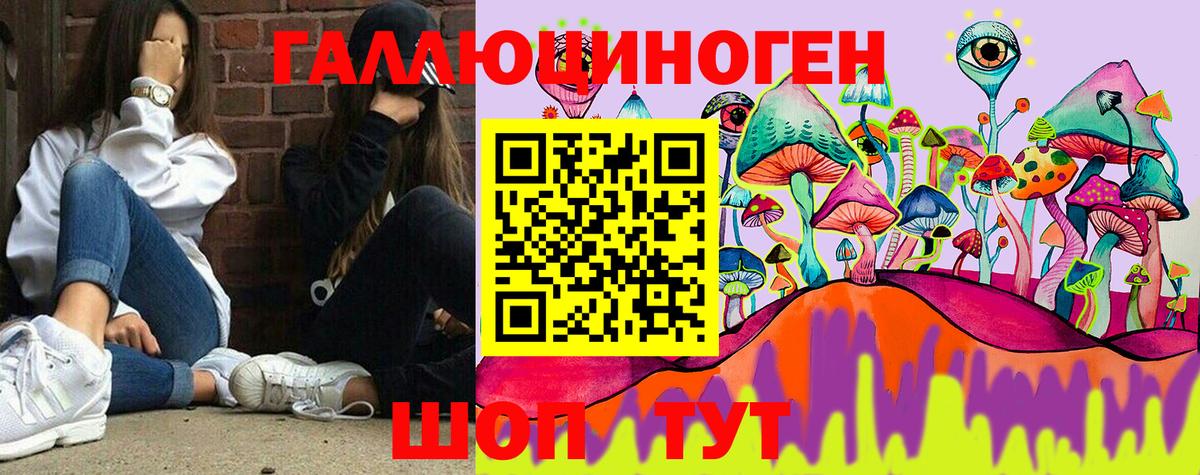 Котлас  Псилоцибиновые грибы мицелий  Вход с VPN 