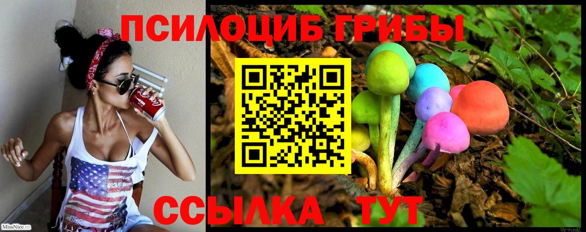 COCAIN Котлас